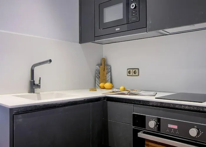 Great Flat In The Center Of Madrid-Comend-3-I, Spagna